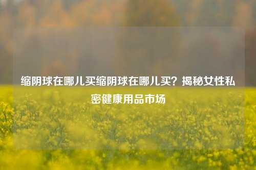 缩阴球在哪儿买缩阴球在哪儿买？揭秘女性私密健康用品市场