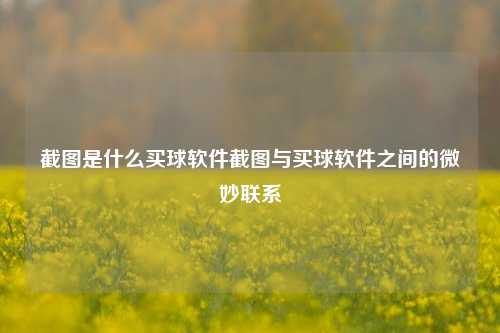 截图是什么买球软件截图与买球软件之间的微妙联系
