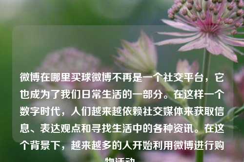 微博在哪里买球微博不再是一个社交平台，它也成为了我们日常生活的一部分。在这样一个数字时代，人们越来越依赖社交媒体来获取信息、表达观点和寻找生活中的各种资讯。在这个背景下，越来越多的人开始利用微博进行购物活动。