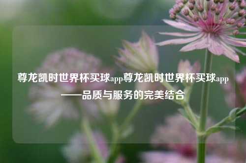 尊龙凯时世界杯买球app尊龙凯时世界杯买球app——品质与服务的完美结合