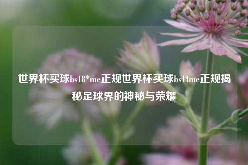 世界杯买球bs18*me正规世界杯买球bs18me正规揭秘足球界的神秘与荣耀