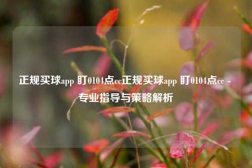 正规买球app 盯0104点cc正规买球app 盯0104点cc - 专业指导与策略解析