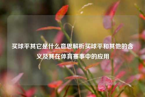 买球平其它是什么意思解析买球平和其他的含义及其在体育赛事中的应用
