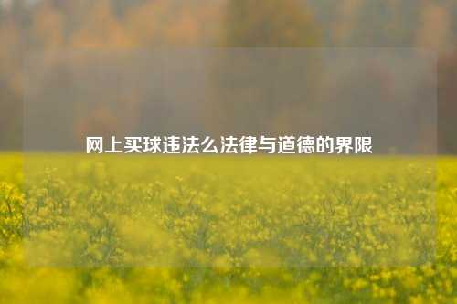 网上买球违法么法律与道德的界限