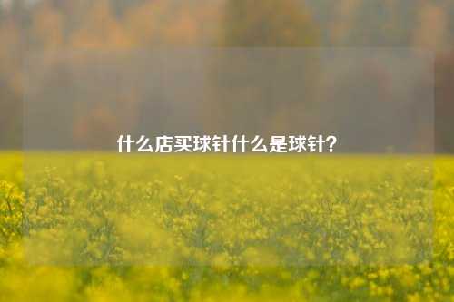什么店买球针什么是球针？