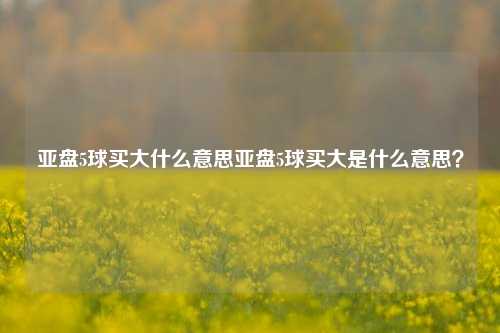 亚盘5球买大什么意思亚盘5球买大是什么意思？