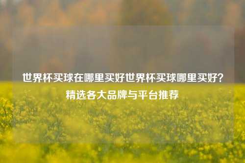 世界杯买球在哪里买好世界杯买球哪里买好？精选各大品牌与平台推荐
