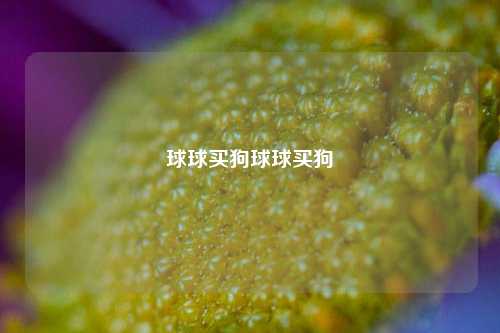 球球买狗球球买狗