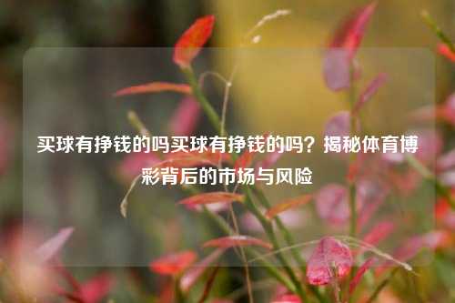 买球有挣钱的吗买球有挣钱的吗？揭秘体育博彩背后的市场与风险