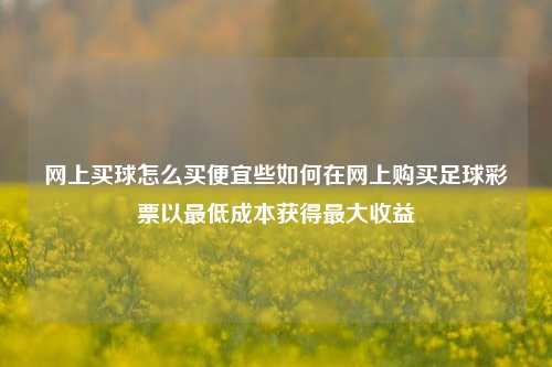 网上买球怎么买便宜些如何在网上购买足球彩票以最低成本获得最大收益