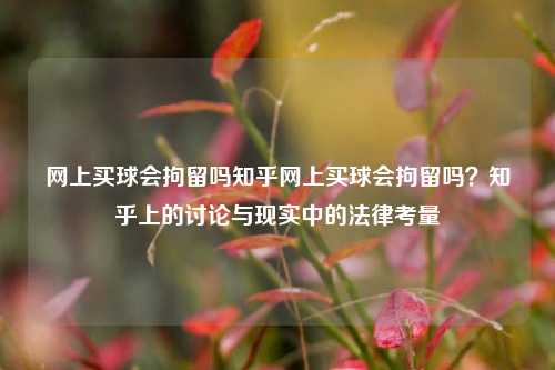网上买球会拘留吗知乎网上买球会拘留吗？知乎上的讨论与现实中的法律考量