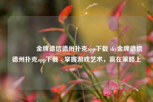🥉金牌德信德州扑克app下载 sky金牌德信德州扑克app下载 - 掌握游戏艺术，赢在策略上