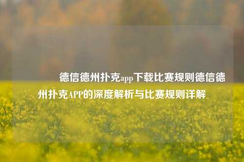 🥉德信德州扑克app下载比赛规则德信德州扑克APP的深度解析与比赛规则详解