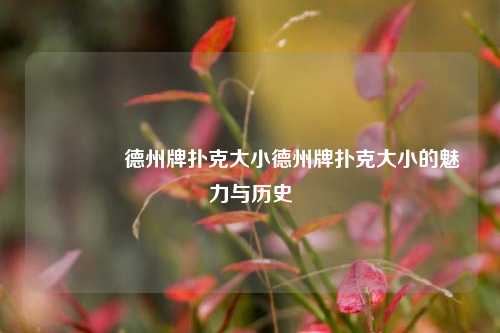 🏆德州牌扑克大小德州牌扑克大小的魅力与历史