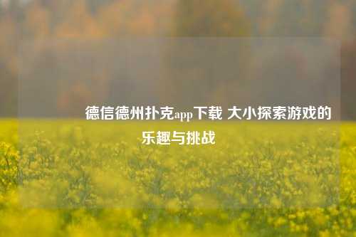 🥉德信德州扑克app下载 大小探索游戏的乐趣与挑战