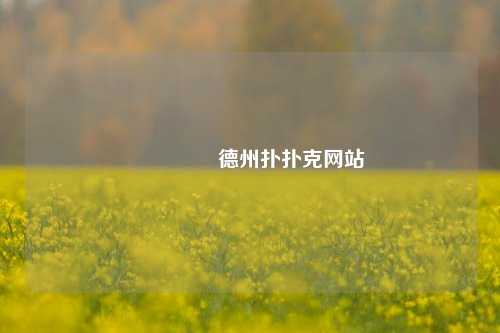 👉德州扑扑克网站