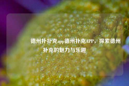 👉德州扑扑克app德州扑克APP，探索德州扑克的魅力与乐趣