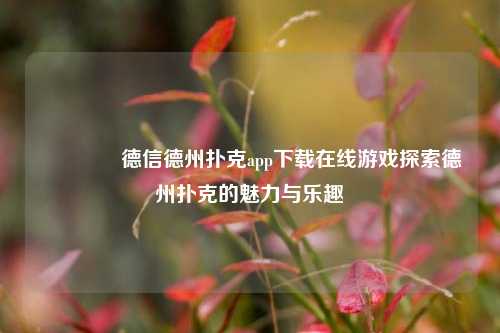 👍德信德州扑克app下载在线游戏探索德州扑克的魅力与乐趣