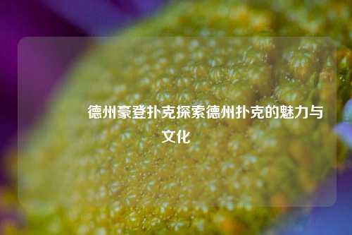 🏅德州豪登扑克探索德州扑克的魅力与文化