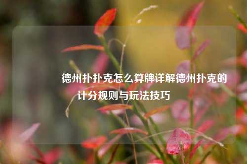 🏆德州扑扑克怎么算牌详解德州扑克的计分规则与玩法技巧