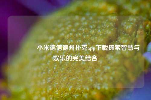 🥉小米德信德州扑克app下载探索智慧与娱乐的完美结合