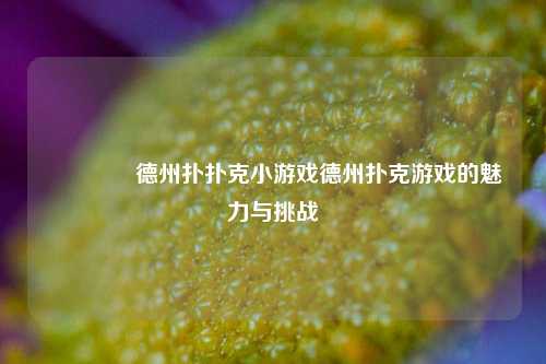 🥇德州扑扑克小游戏德州扑克游戏的魅力与挑战