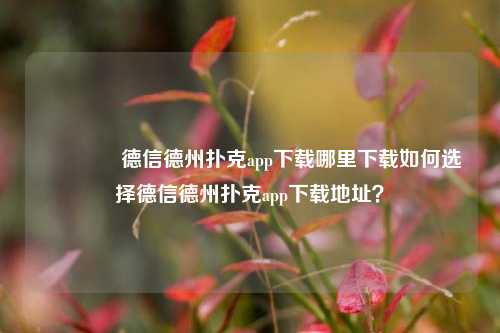 👉德信德州扑克app下载哪里下载如何选择德信德州扑克app下载地址？