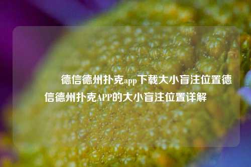 👉德信德州扑克app下载大小盲注位置德信德州扑克APP的大小盲注位置详解