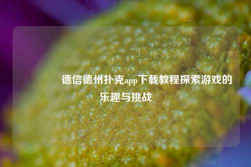 👍德信德州扑克app下载教程探索游戏的乐趣与挑战