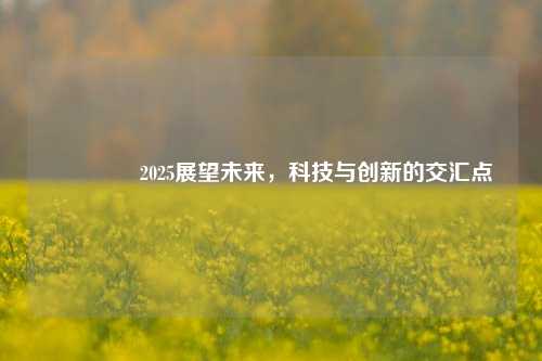 🥈2025展望未来，科技与创新的交汇点