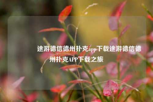 🏅途游德信德州扑克app下载途游德信德州扑克APP下载之旅