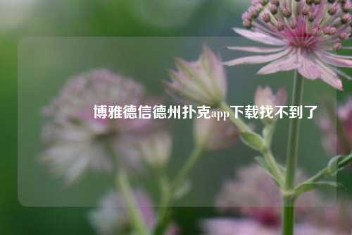 🥇博雅德信德州扑克app下载找不到了