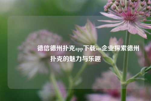 🥈德信德州扑克app下载ios企业探索德州扑克的魅力与乐趣