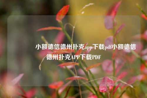 🏅小额德信德州扑克app下载pdf小额德信德州扑克APP下载PDF