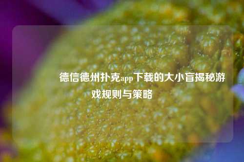 🥉德信德州扑克app下载的大小盲揭秘游戏规则与策略