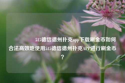 🎖️515德信德州扑克app下载刷金币如何合法高效地使用515德信德州扑克APP进行刷金币？