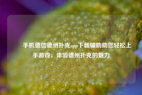 ✌️手机德信德州扑克app下载辅助助您轻松上手游戏，体验德州扑克的魅力