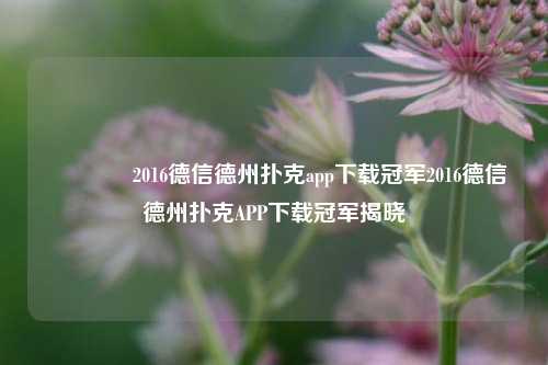 🌈2016德信德州扑克app下载冠军2016德信德州扑克APP下载冠军揭晓