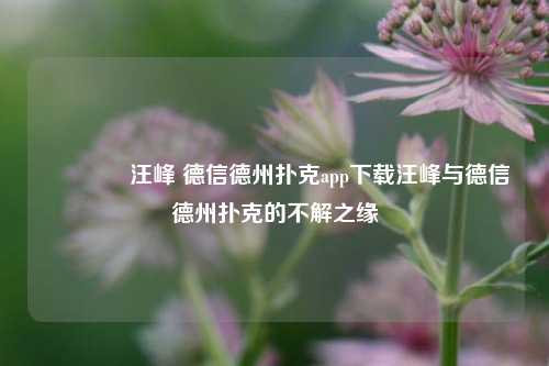 🥇汪峰 德信德州扑克app下载汪峰与德信德州扑克的不解之缘