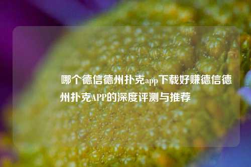 👉哪个德信德州扑克app下载好赚德信德州扑克APP的深度评测与推荐