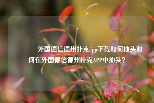 🥉外国德信德州扑克app下载如何抽头如何在外国德信德州扑克APP中抽头？