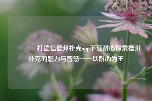 👉打德信德州扑克app下载耐心探索德州扑克的魅力与智慧——以耐心为王