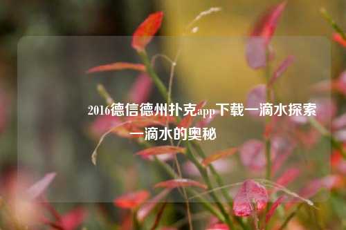 🌈2016德信德州扑克app下载一滴水探索一滴水的奥秘