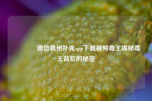 🏅德信德州扑克app下载视频毒王揭秘毒王背后的秘密