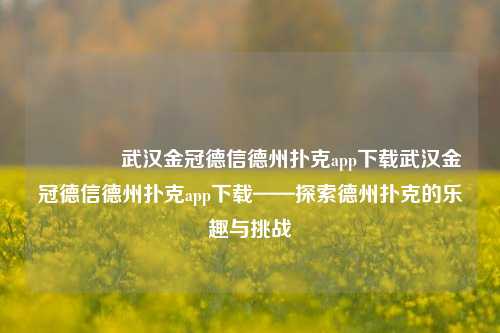 👍武汉金冠德信德州扑克app下载武汉金冠德信德州扑克app下载——探索德州扑克的乐趣与挑战