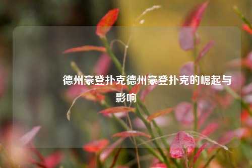 🥉德州豪登扑克德州豪登扑克的崛起与影响