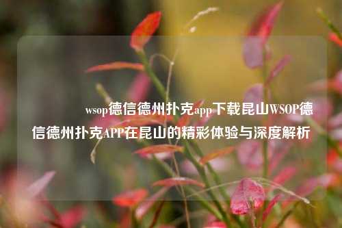 🏅wsop德信德州扑克app下载昆山WSOP德信德州扑克APP在昆山的精彩体验与深度解析