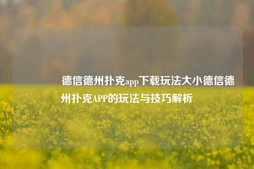 🌈德信德州扑克app下载玩法大小德信德州扑克APP的玩法与技巧解析