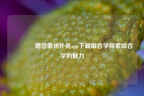 👉德信德州扑克app下载组合学探索组合学的魅力