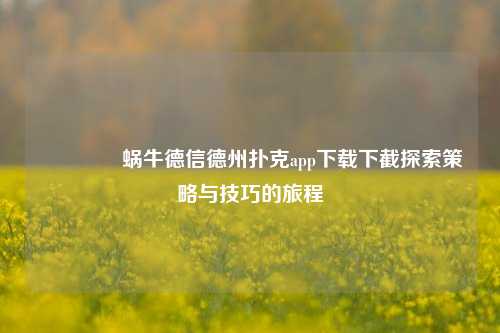 👉蜗牛德信德州扑克app下载下截探索策略与技巧的旅程